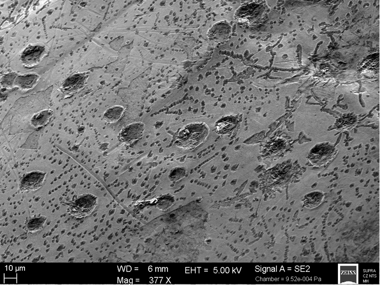 micro-craters on iron silicide (xifengite, gupeiite) surface Chiemgau impact