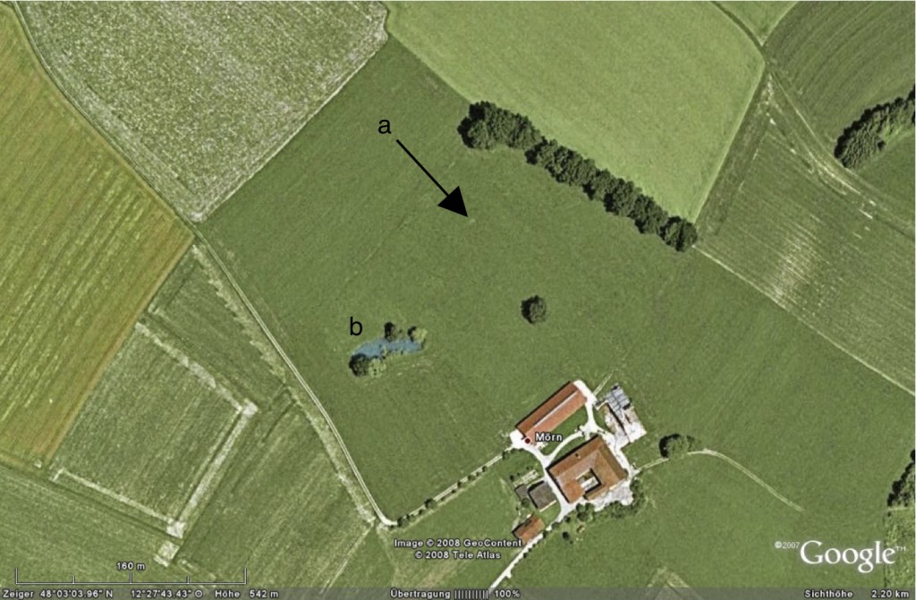 Google Earth Satellitenbild von Mörn, aktives Donnerloch, Sandexplosion, Bodenverflüssigung Chiemgau Impakt