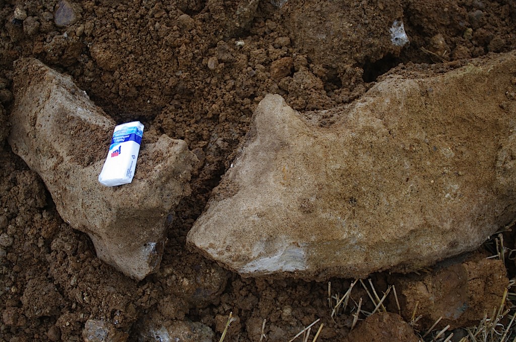 schwere Blöcke aus Nagelfluh mehrere 100 kg 1 m hochgehoben, Bodenverflüssigung, Chiemgau Impakt
