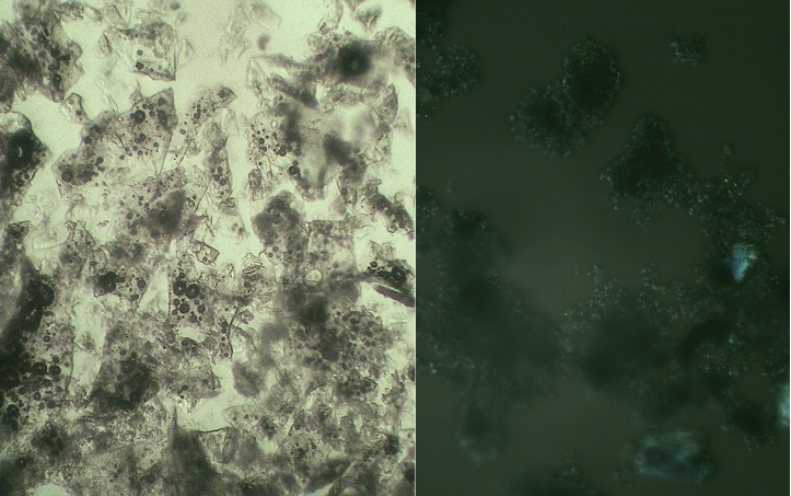 grinded pumice under the polarization microscope Chiemgau impact